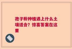 孢子粉种植遇上什么土壤适合？惊喜答案在这里