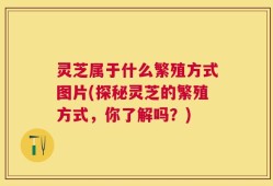 灵芝属于什么繁殖方式图片(探秘灵芝的繁殖方式，你了解吗？)