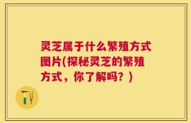 灵芝属于什么繁殖方式图片(探秘灵芝的繁殖方式，你了解吗？)