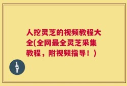人挖灵芝的视频教程大全(全网最全灵芝采集教程，附视频指导！)