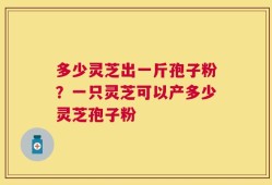 多少灵芝出一斤孢子粉？一只灵芝可以产多少灵芝孢子粉
