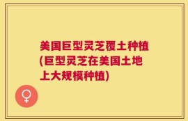 美国巨型灵芝覆土种植(巨型灵芝在美国土地上大规模种植)
