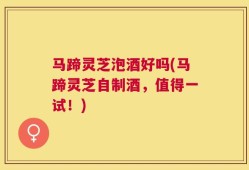 马蹄灵芝泡酒好吗(马蹄灵芝自制酒，值得一试！)