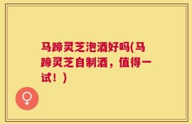 马蹄灵芝泡酒好吗(马蹄灵芝自制酒，值得一试！)