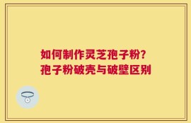 如何制作灵芝孢子粉？孢子粉破壳与破壁区别