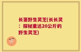 长茎野生灵芝(长长灵：探秘重达20公斤的野生灵芝)