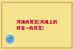 河滩肉灵芝(河滩上的珍宝—肉灵芝)