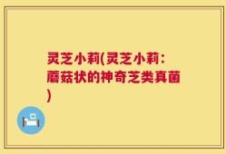 灵芝小莉(灵芝小莉：蘑菇状的神奇芝类真菌)
