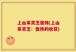 上山采灵芝张伟(上山采灵芝：张伟的收获)