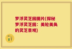 罗浮灵芝园图片(探秘罗浮灵芝园：美轮美奂的灵芝景观)
