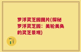 罗浮灵芝园图片(探秘罗浮灵芝园：美轮美奂的灵芝景观)