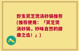 野生灵芝煲汤砂锅推荐(推荐使用：「灵芝煲汤砂锅，妙味自然的健康之选！」)
