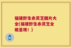 福建野生赤灵芝图片大全(福建野生赤灵芝全貌呈现！)