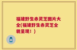 福建野生赤灵芝图片大全(福建野生赤灵芝全貌呈现！)