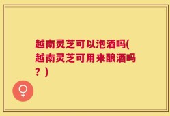 越南灵芝可以泡酒吗(越南灵芝可用来酿酒吗？)