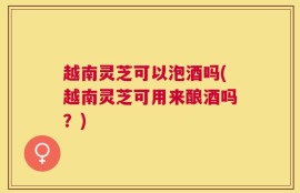 越南灵芝可以泡酒吗(越南灵芝可用来酿酒吗？)