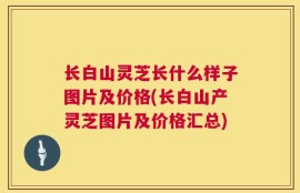 长白山灵芝长什么样子图片及价格(长白山产灵芝图片及价格汇总)