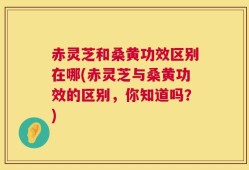 赤灵芝和桑黄功效区别在哪(赤灵芝与桑黄功效的区别，你知道吗？)