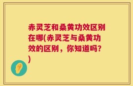 赤灵芝和桑黄功效区别在哪(赤灵芝与桑黄功效的区别，你知道吗？)