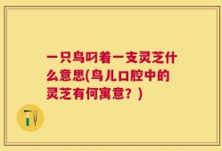 一只鸟叼着一支灵芝什么意思(鸟儿口腔中的灵芝有何寓意？)
