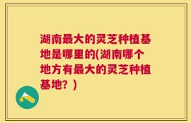 湖南最大的灵芝种植基地是哪里的(湖南哪个地方有最大的灵芝种植基地？)
