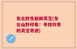 东北野生新鲜灵芝(东北山野印象：寻找珍贵的灵芝奇迹)