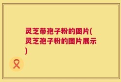 灵芝带孢子粉的图片(灵芝孢子粉的图片展示)