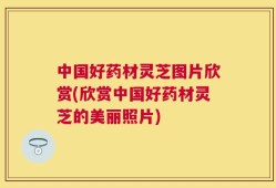 中国好药材灵芝图片欣赏(欣赏中国好药材灵芝的美丽照片)