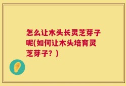 怎么让木头长灵芝芽子呢(如何让木头培育灵芝芽子？)