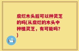 腐烂木头后可以种灵芝的吗(从腐烂的木头中种植灵芝，有可能吗？)