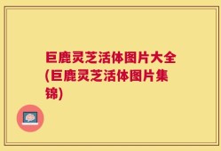 巨鹿灵芝活体图片大全(巨鹿灵芝活体图片集锦)