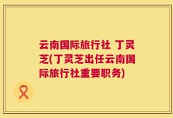 云南国际旅行社 丁灵芝(丁灵芝出任云南国际旅行社重要职务)