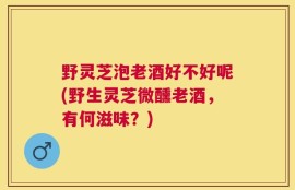 野灵芝泡老酒好不好呢(野生灵芝微醺老酒，有何滋味？)
