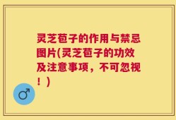 灵芝苞子的作用与禁忌图片(灵芝苞子的功效及注意事项，不可忽视！)