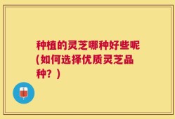 种植的灵芝哪种好些呢(如何选择优质灵芝品种？)