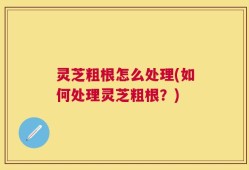 灵芝粗根怎么处理(如何处理灵芝粗根？)