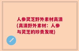 人参灵芝野外素材高清(高清野外素材：人参与灵芝的珍贵发现)
