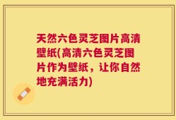 天然六色灵芝图片高清壁纸(高清六色灵芝图片作为壁纸，让你自然地充满活力)