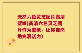 天然六色灵芝图片高清壁纸(高清六色灵芝图片作为壁纸，让你自然地充满活力)