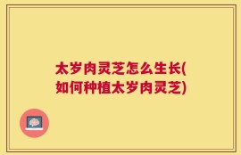 太岁肉灵芝怎么生长(如何种植太岁肉灵芝)
