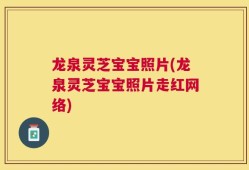 龙泉灵芝宝宝照片(龙泉灵芝宝宝照片走红网络)