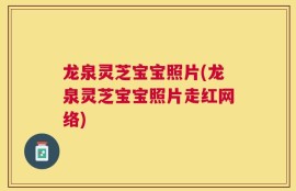 龙泉灵芝宝宝照片(龙泉灵芝宝宝照片走红网络)