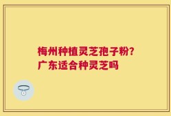 梅州种植灵芝孢子粉？广东适合种灵芝吗