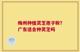 梅州种植灵芝孢子粉？广东适合种灵芝吗