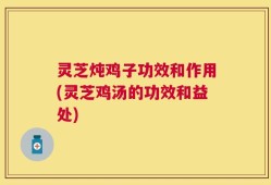 灵芝炖鸡子功效和作用(灵芝鸡汤的功效和益处)