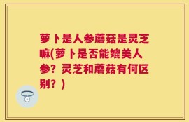 萝卜是人参蘑菇是灵芝嘛(萝卜是否能媲美人参？灵芝和蘑菇有何区别？)