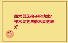殷木灵芝孢子粉功效？柞木灵芝与椴木灵芝谁好