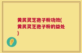 黄芪灵芝孢子粉功效(黄芪灵芝孢子粉的益处)