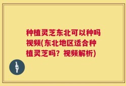 种植灵芝东北可以种吗视频(东北地区适合种植灵芝吗？视频解析)