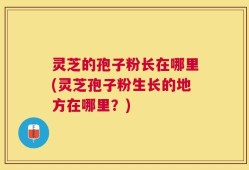 灵芝的孢子粉长在哪里(灵芝孢子粉生长的地方在哪里？)